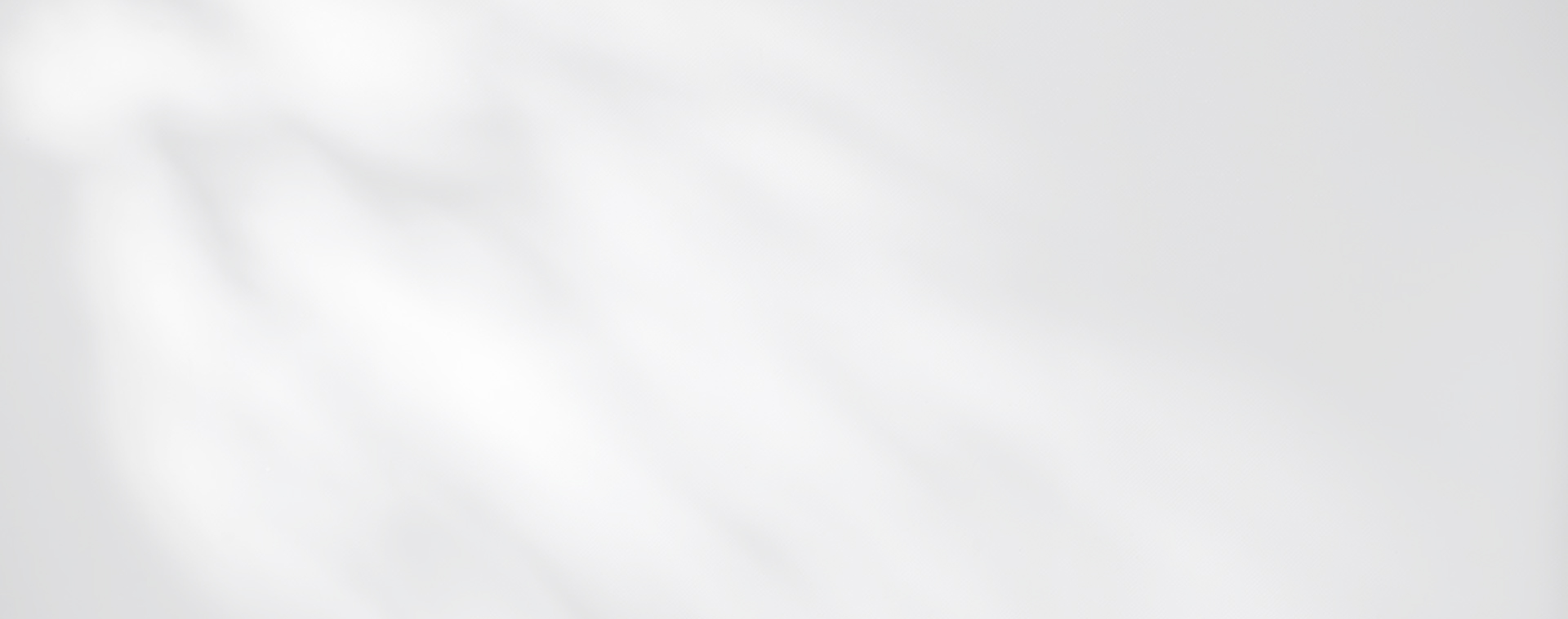 正版资料全年资料大全