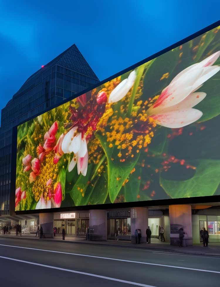 正版资料全年资料大全