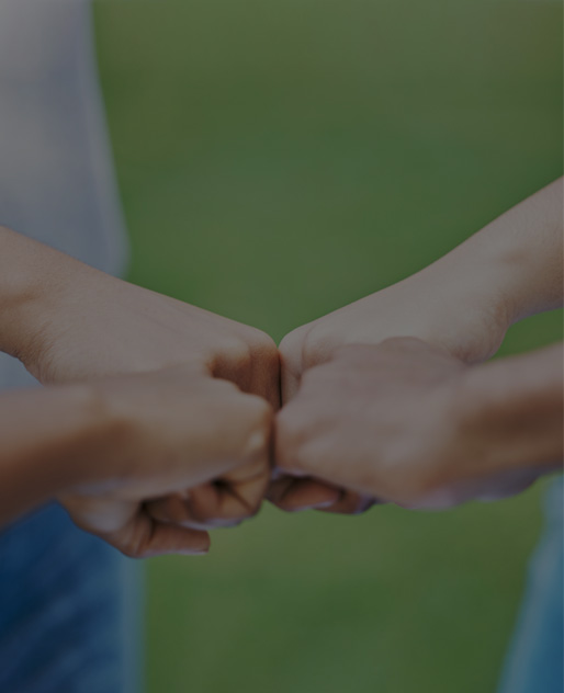 正版资料全年资料大全